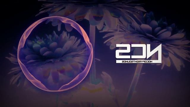 Josh Rubin NCS New Release смотреть онлайн