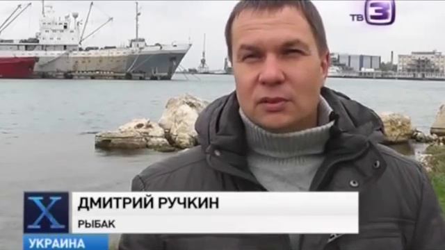 Динозавра выловили в Черном море