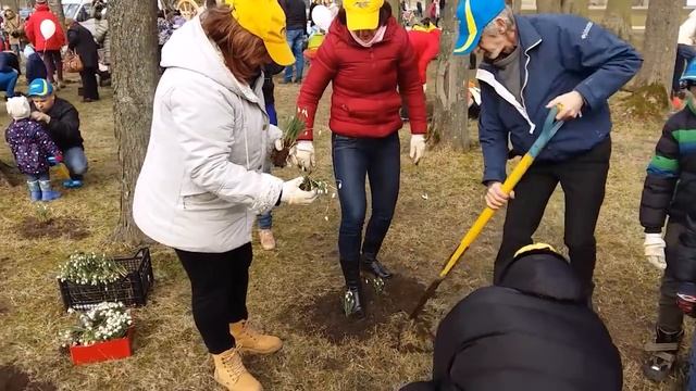 Sniegpulkstenīšu stādīšanas talka Ventspils Reņķu dārzā смотреть онлайн