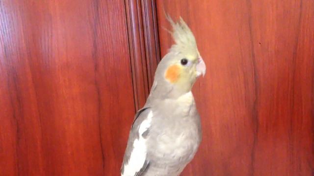 IMG 0030 смотреть онлайн