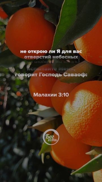 Малахии 3:10 смотреть онлайн