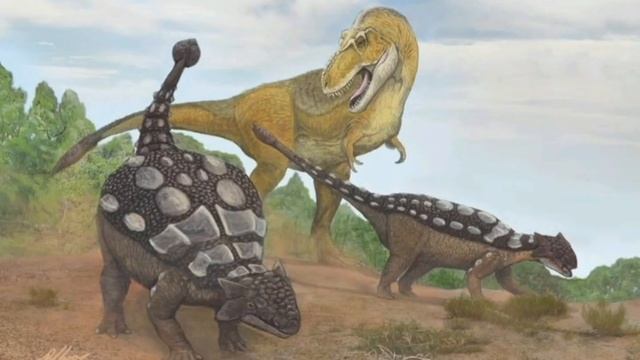 Dinosaurios acorazados.( tireóforos posteriores) смотреть онлайн