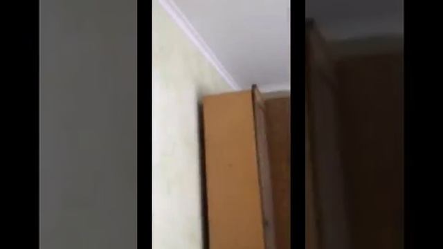 Apartament cu 2 camere, bd.DACIA смотреть онлайн