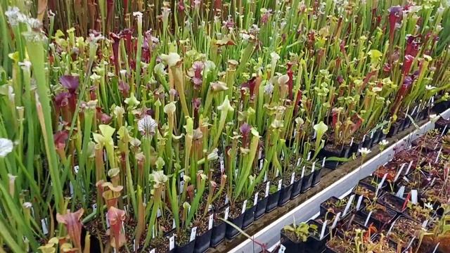 PRE- OPEN DAY !! IL VIDEO PRIMA DELL' EVENTO "GC OPENDAY 2021" 19-20 JUNE смотреть онлайн