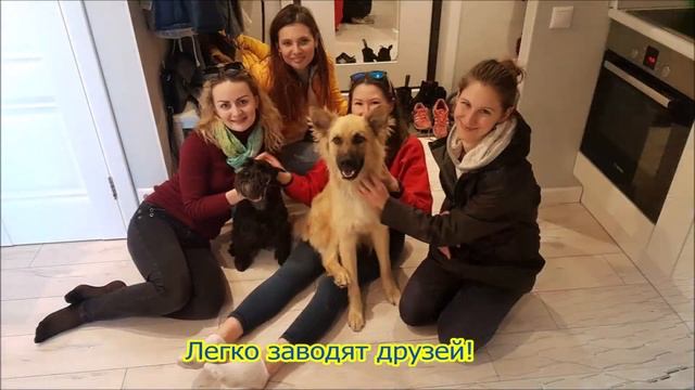 ArmenyCasa Vidnoe 2019 смотреть онлайн