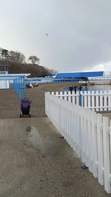 Это Надо ВИДЕТЬ Купаются в декабре в черном море 👍 смотреть онлайн