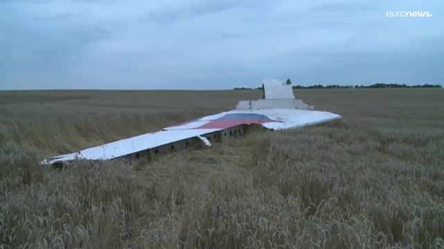 Case against Russia over downing of Malaysia Airlines flight MH17 can go ahead, court rules смотреть онлайн