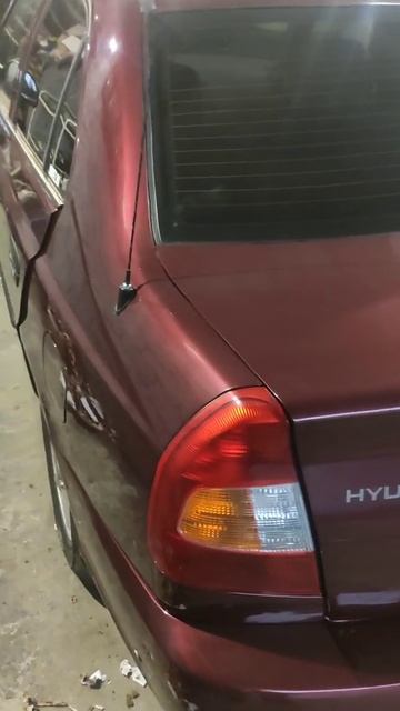 Расклеили Ставропольского Леопарда))))