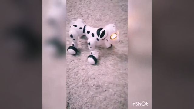 Smart Pet zoomer робот пёс смотреть онлайн