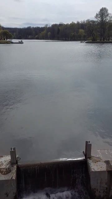 Царицынская плотина. Москва. Апрель 2024. смотреть онлайн