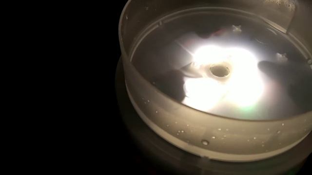 XENCEN Essential Oil Diffuser Speaker смотреть онлайн