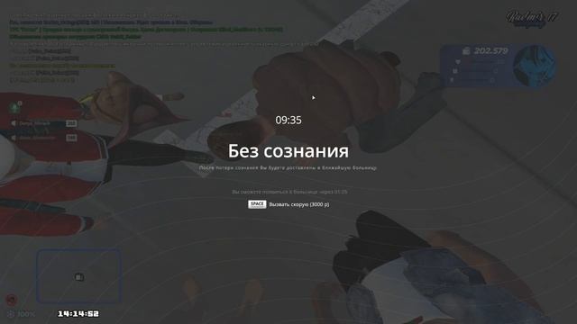 дм зз смотреть онлайн