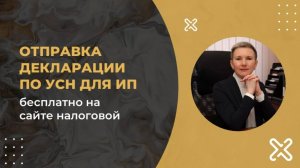 Как бесплатно сдать декларацию по налогу УСН через личный кабинет ИП на сайте налоговой