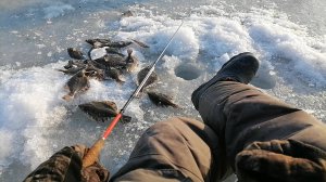 Ловим КАПРИЗНУЮ камбалу. Рыбалка на КАМБАЛУ пешком. Зимняя рыбалка в НЕПОГОДУ. Рыбалка в Тавричанке.
