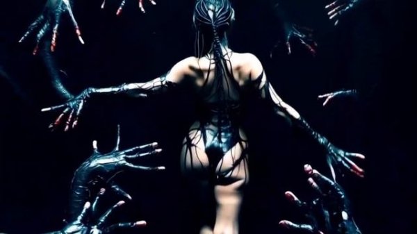 Whispers of the Wild