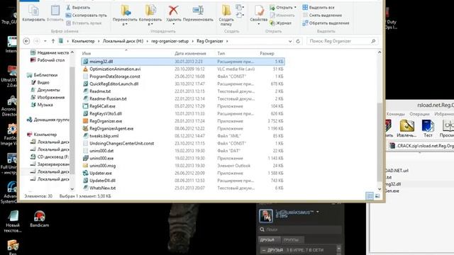 как активировать программу Reg Organizer