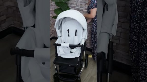 коляска Adamex chantal