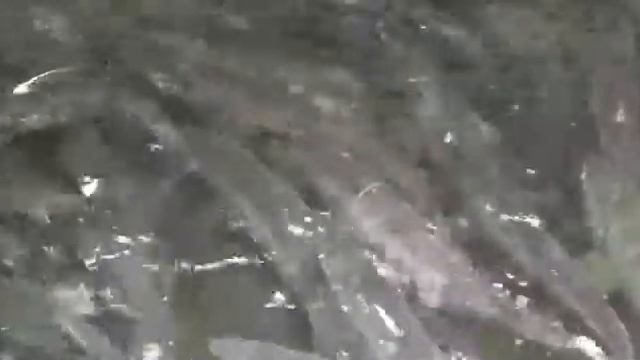 Возвращение домой смотреть онлайн