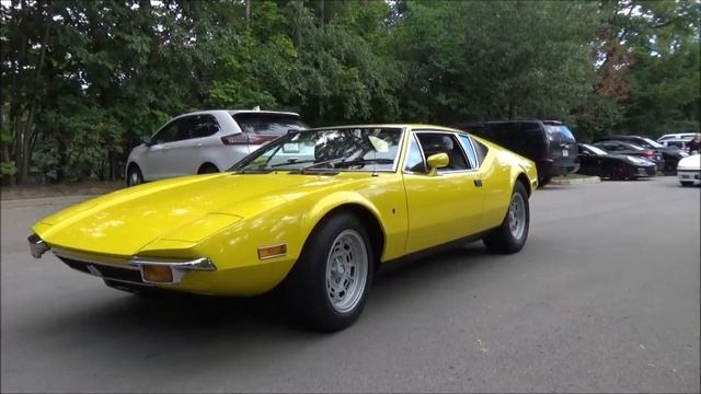 Marques D'Elegance 2015/ Arrivals смотреть онлайн