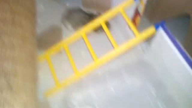 Вторая часть лабиринт для хомяка смотреть онлайн