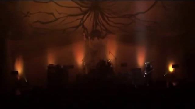 Plastic Tree - Twice (Strange Fruits 15th Anniversary Live) Sub Español