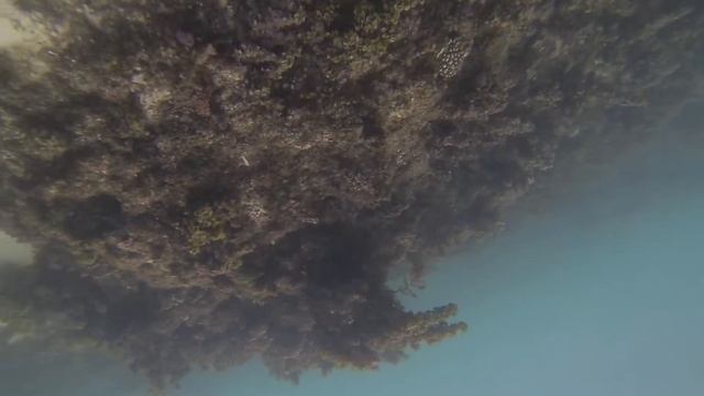 GP030001 смотреть онлайн