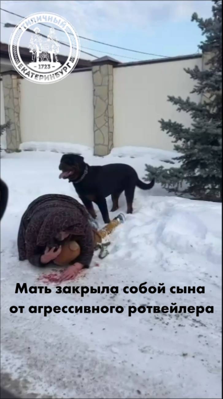 Мать закрыла собой 5-летнего сына от агрессивного ротвейлера смотреть онлайн