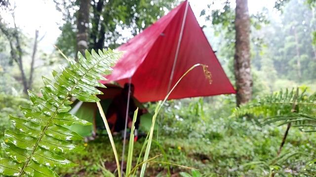 🎧 Magical Rainy Camping Experience: ASMR Rain Sound in a Small Tent смотреть онлайн