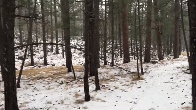 Mongoose Hitch Fat Biking Flagstaff Arizona смотреть онлайн