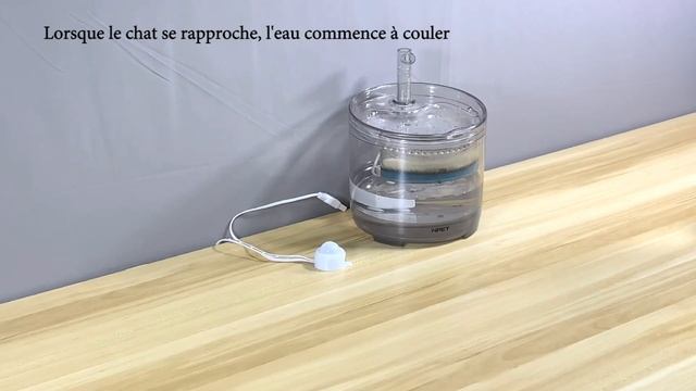 Fontaine à Eau NPET Avec Interrupteur De Capteur