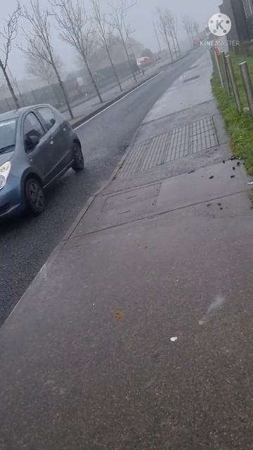 ASMR horses running on the road #shorts смотреть онлайн