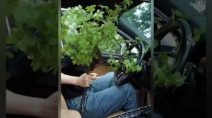 Обзор ароматизатора для автомобиля Xiaomi bbdd Car Mushroom Head Air Conditioner