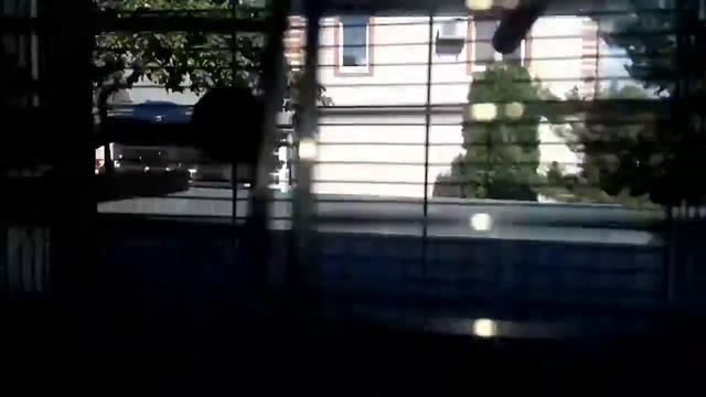 Реакция кота на попугая! Или наоборот :| смотреть онлайн