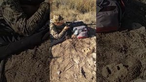 Monza 308win отстрел.