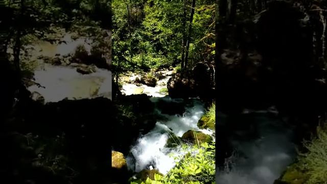 Ущелье реки Курджипс смотреть онлайн