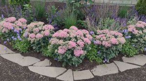 ОБЗОР МИКСБОРДЕРА ПЕРЕД ДОМОМ.