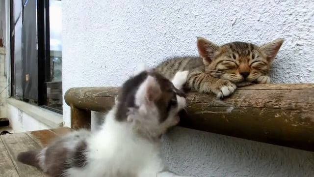 О сне смотреть онлайн