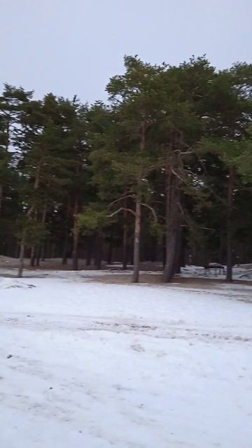 ФИНСКИЙ ЗАЛИВ 3.01.2023 смотреть онлайн