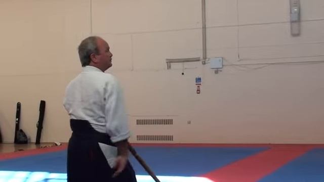 Айкикай Великобритании. Практика с гостями (инструктороми) Ю. Кобаяси и Т. Савадой (2015) - ч 4