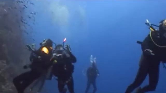 Egypte Maart 2010 Divecenter New Atlantis смотреть онлайн