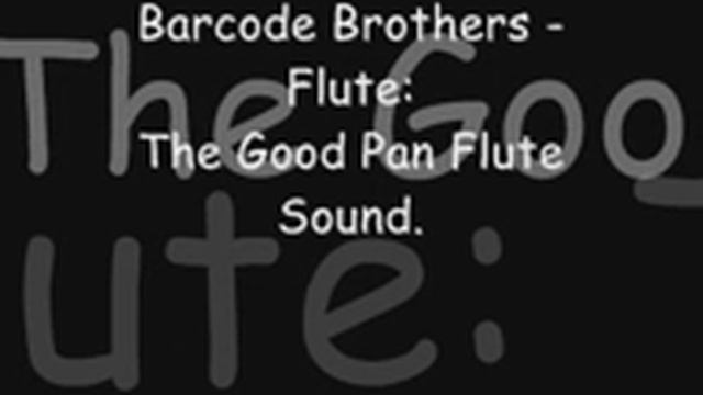 Barcode Brothers - Flute