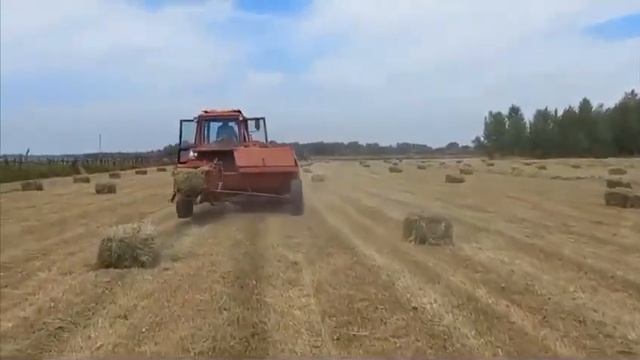 Пресс подборщик Киргизстан с немецким аппаратом отзыв клиента смотреть онлайн