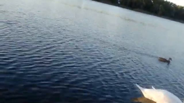 Славянский курорт, сентябрь 2016 смотреть онлайн