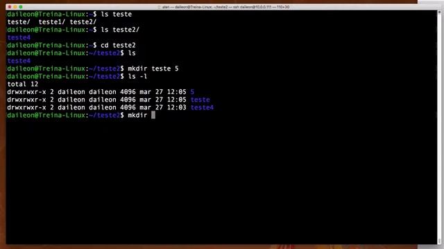Comando mkdir - Treina Linux смотреть онлайн