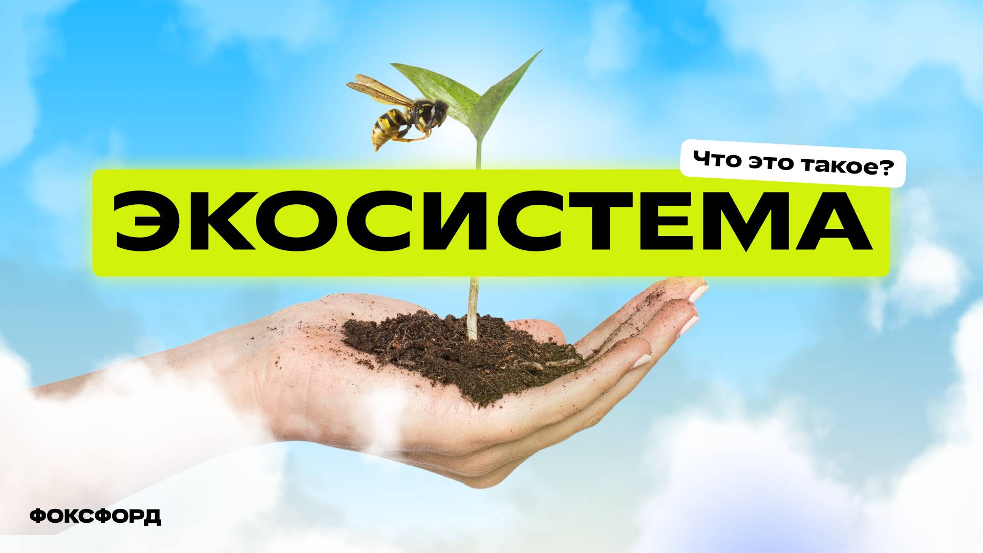 Что такое экосистемы. 4 класс смотреть онлайн