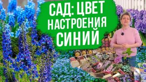 Монохромный сад с Оксаной Пискаревой. Цветочные композиции в сине-фиолетовом оттенке.