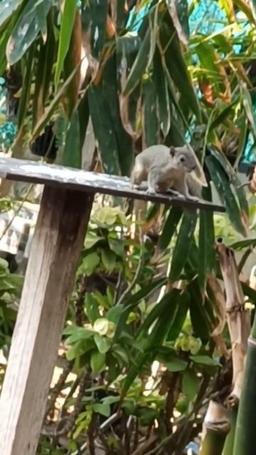 sound- vijay-8330 смотреть онлайн