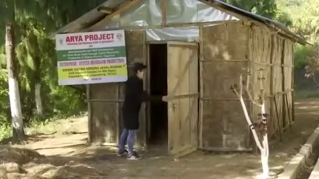 ARYA Project Towards Empowering Tribal Youth, KVK, Wokha