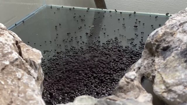 70L Dennerle Scapers Tank Freshwater Reef Episode 1: Hardscape
