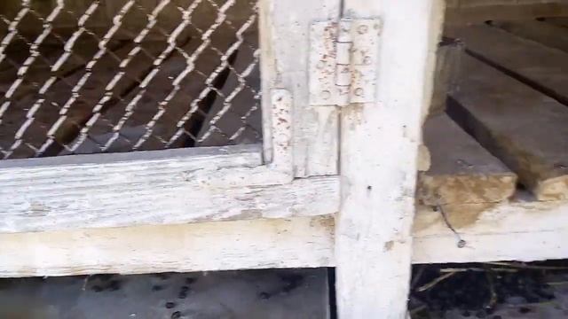 Краткий обзор моих старых клеток . смотреть онлайн